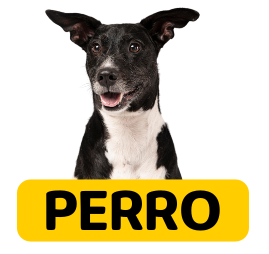 perrobanner