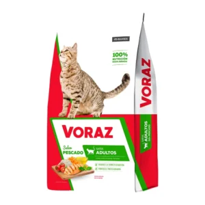 VORAZ GATO ADUL