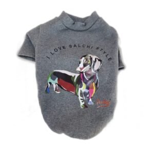 BUZO FRIZA SALCHI STYLE