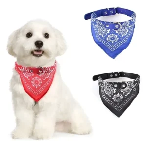 COLLAR C/PAÑUELO DE TELA - Imagen 1