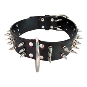 COLLAR C/PUAS O APLIQUES - Imagen 1