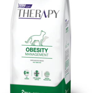 THERAPY OBESITY MANAGEMENT gato