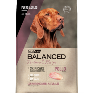 BALANCED NATURAL RECIPE PERRO POLLO - Imagen 1