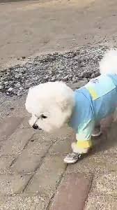 ROPA CON PROTECCIÓN UV